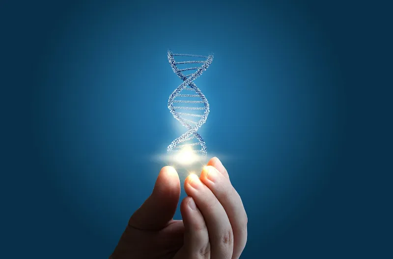 Sådan kombinerer du DNA og traditionel slægtsforskning